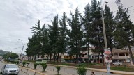 Anunciarán que talarán los árboles en la Avenida de la Cultura a la altura de Mariscal Gamarra