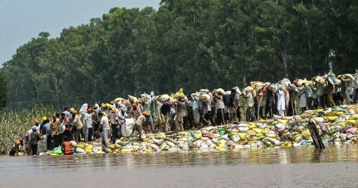 ‘Restart from scratch’: Flood-hit Indian farmers look at swelling losses