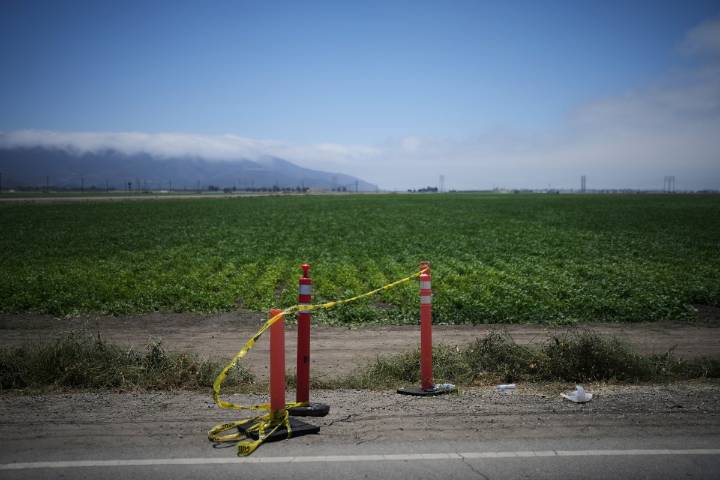 Agentes federales intentan redada en una granja de Ventura