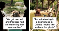 30 Times People Captured Bears Doing Ridiculous And Adorable Things