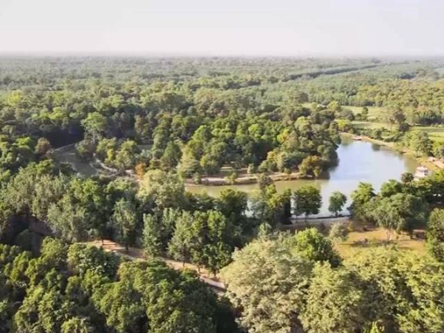 Forest Vision to 2050 launched in Punjab to 'counter climate