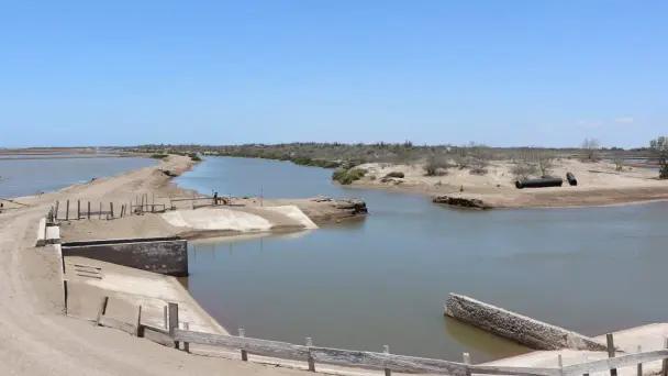 Exhortan a productores extremar cuidados en granjas acuícola