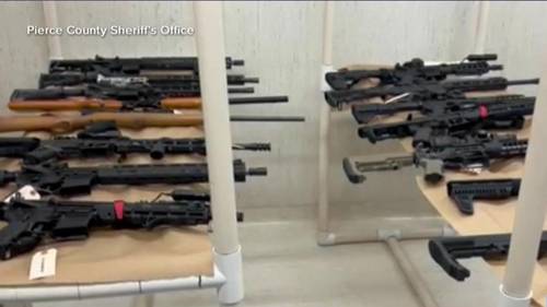 Teen with 'school shooter ideations' found with collection of guns