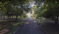 El Ayuntamiento inicia el saneamiento de casi 200 árboles del Parque Manuel Barquín