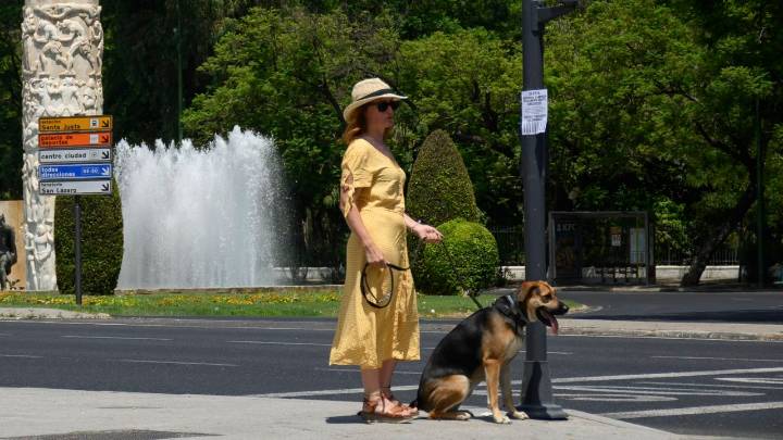 Andalucía anuncia una deducción fiscal para dueños de mascotas