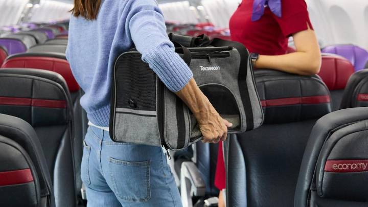 Paws in the air: Virgin Australia makes history with pet