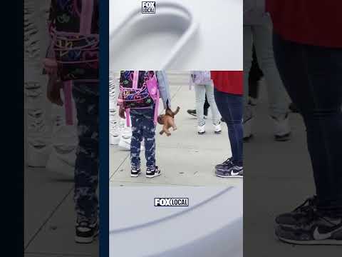 🏫Departamento de Seguridad Nacional: No habrá redadas escolares por parte del ICE.🚫