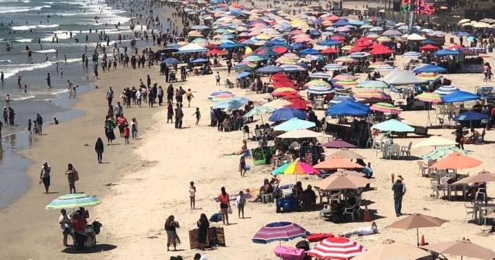 Estudio de capacidad de carga busca ordenamiento en playa de Rosarito