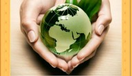 Día Mundial de la Salud Ambiental: cuidar el entorno es cuidar la vida