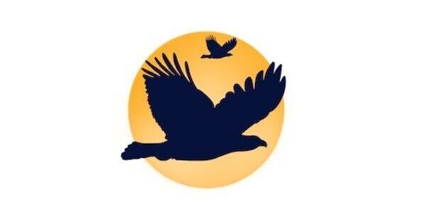 Eagle Vision: Four-Time Emmy® Award winner Bryan H. Shepard shares his transformational story about how eagles and nature helped him overcome a visual disability in a newly published book