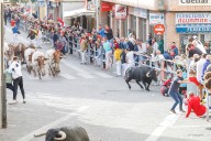 Los toros de la ganadería portuguesa Rosa Rodríguez dejan tres heridos en el tercer encierro de Cuéllar (Segovia)