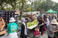 Hunger Action Month: Here’s how you can support your neighbors amid NYC’s food insecurity crisis