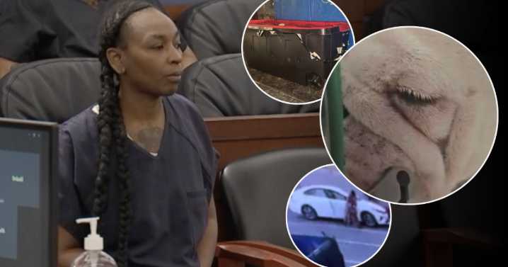 Second suspect in Reba the bulldog's death won't get additional time behind bars