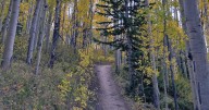 Great fall hikes: Aspen Alley Trail in Breckenridge 