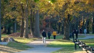 Here's when fall foliage will peak in North Jersey in 2025