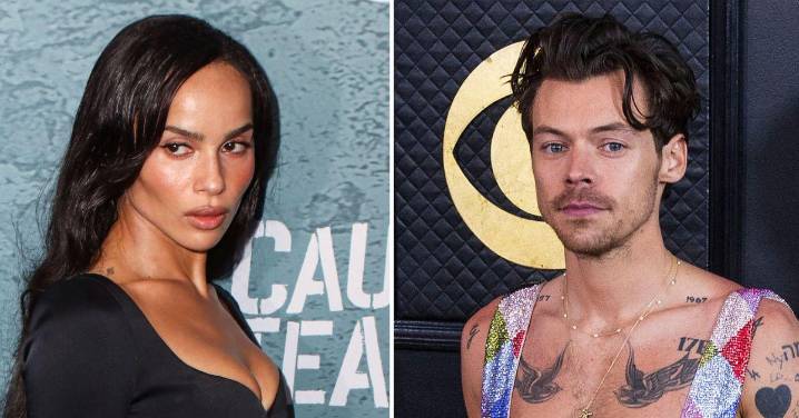 Zoe Kravitz Warned to Take It Slow With 'Playboy' Harry Styles