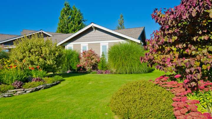 The Pretty Shrub That Thrives In Any Soil, While Adding Color To Your Front Yard