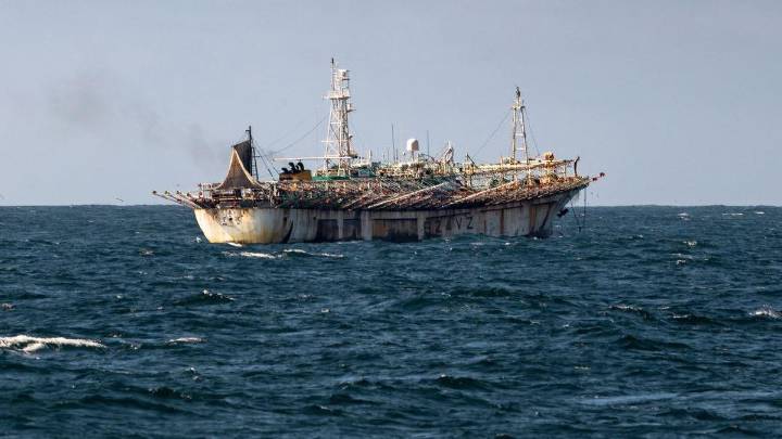 ¿De dónde viene el calamar que comemos en España? Un lado oscuro desconocido