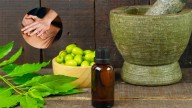How Naturopathy Is Redefining Health And Healing As Lasting, And Cost