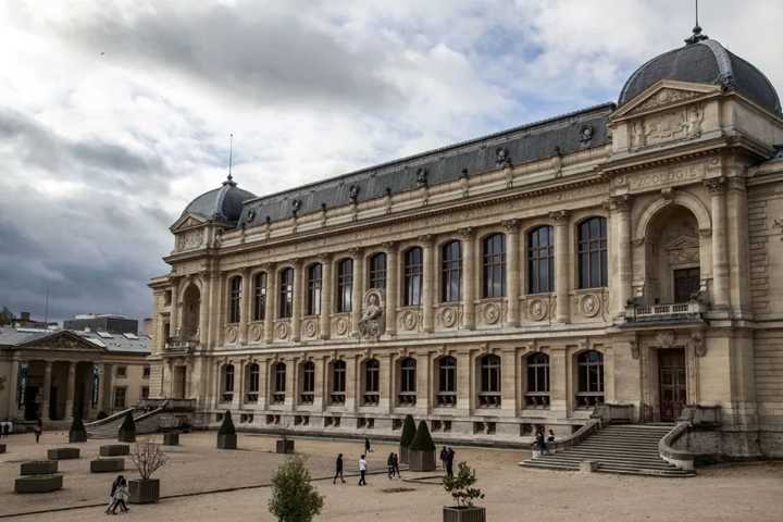 Robados unos 6 kilos de oro en las colecciones del Museo Nacional de Historia Natural de París