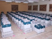 Govt speeds up local body poll process, officials suggest phases