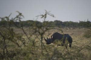 Namibia deploys 500 soldiers to fight Etosha fire