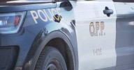 Fraudster falls short after trying to scam man looking for lost cat: Ontario police