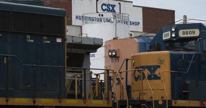 CSX to cooperate with Canadian National on east-west intermodal shipments