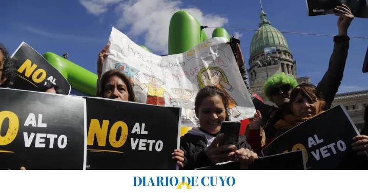 Gobierno promulgó la Ley de Emergencia en Discapacidad, pero postergó su aplicación