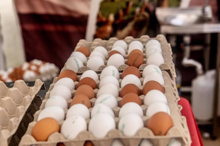 Gripe aviar: Hong Kong bloquea la importación de carne y huevos procedentes de Huelva