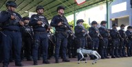Cuatro estados echan mano de perros robots artillados y uno táctico, contra inseguridad