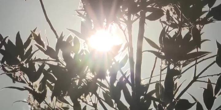 September 8: 15 Day Outlook