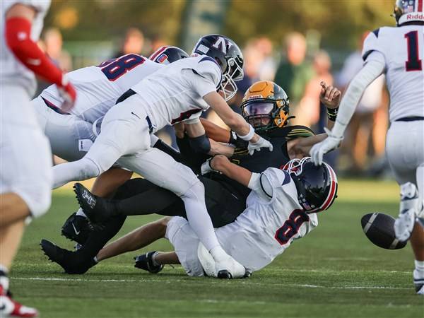 Napoleon defense steps up in victory over Clay