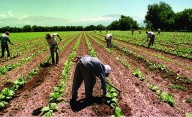 “La riqueza la generan el trabajo y la producción, no las dádivas internacionales”, afirman desde CONINAGRO