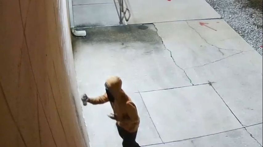 Denham Springs Police looking for spray-paint vandal who tagged six buildings in Antique Village