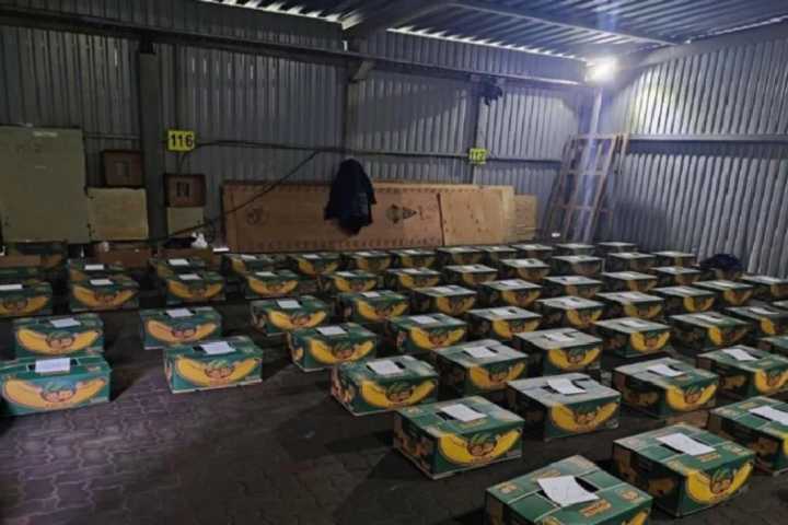 Rusia confiscó 1,5 toneladas de cocaína provenientes de Ecuador en una operación antidrogas.