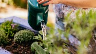 Is Costco's Highly-Rated Smart Sprinkler Controller Actually Worth Buying?