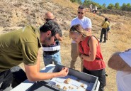 La Junta apoya ocho proyectos de investigación arqueológica