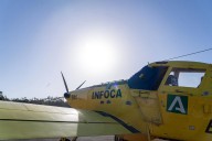 Extinguido el incendio forestal junto a la urbanización Las Viñas en Andújar
