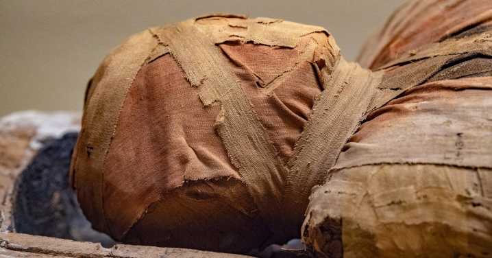 Newly Discovered Ancient Mummies Don’t Share DNA With Modern Humans