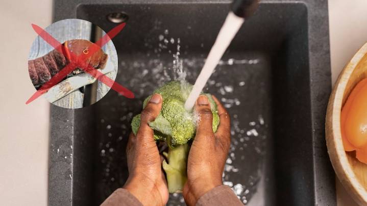 Sin bicarbonato ni lavandina: el truco para lavar el brócoli y eliminar todos los gusanos en 5 minutos