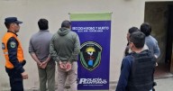 Escándalo en el norte: robaron 60 vacas y ya hay cuatro detenidos