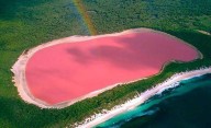 Por qué hay lagos de color rosa