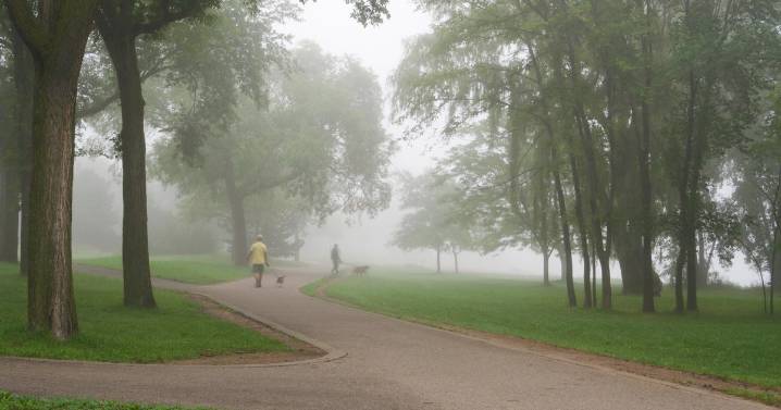 Foggy start Wednesday in Twin Cities; warmer temps by weekend