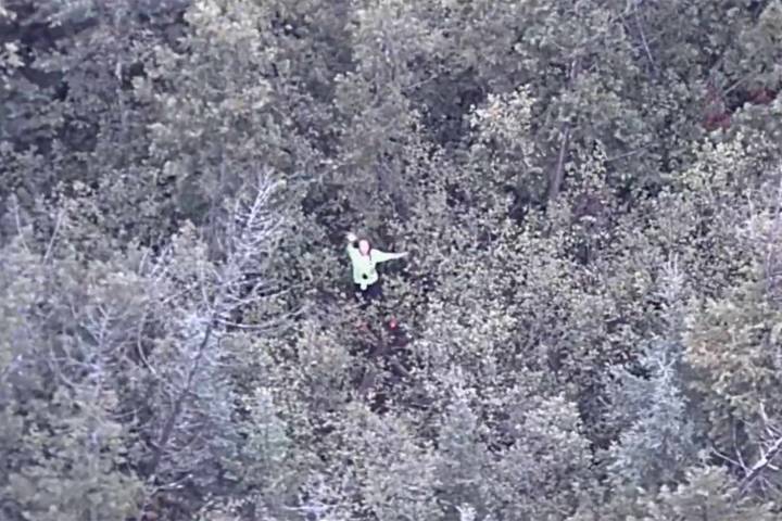 Woman, 36, Filming YouTube Survival Show Rescued After 18 Hours Missing in Forest