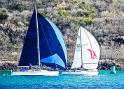 Bonjolea II wins final race, Shorts Series