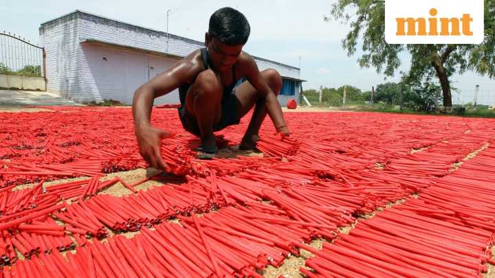 SC allows manufacture of greencrackers in Delhi-NCR but condition applies