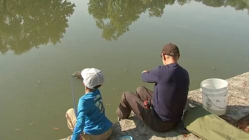 Kids compete in annual Fishing Derby at McKinley Park Lagoon on Chicago's Southwest Side