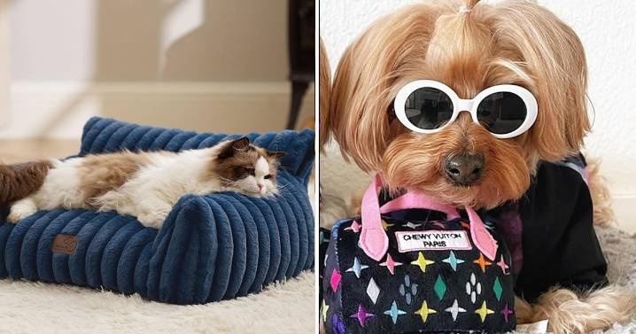 55 Bougie Things For Cats & Dogs That Are So Damn Cheap