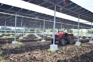 India necesita más cultivos y energía solar que ningún otro país. Así que está instalando los paneles solares en altura